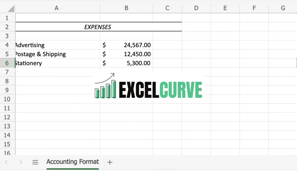 Spreadsheet with Accounting Number Format in Excel